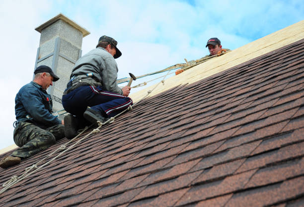 Roof Gutter Cleaning in Ogdensburg, NJ